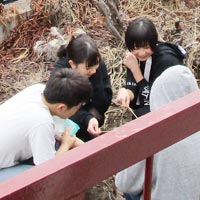 庭でマシュマロ焼き